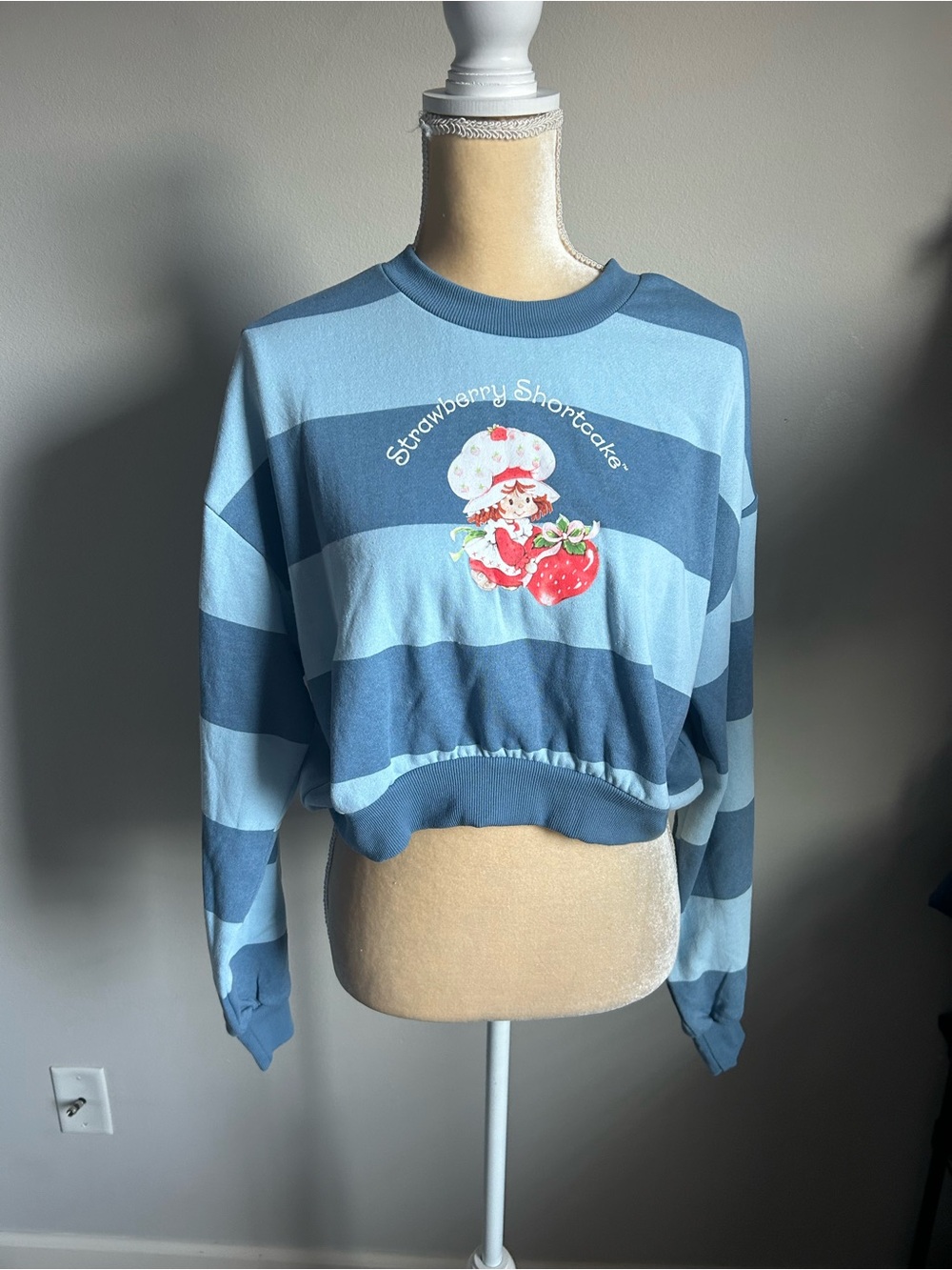 NEW Strawberry Shortcake Blue Striped Cropped Sweatshirt Sz S